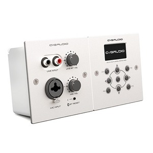 Коробка распределительная CVGaudio WB2-ERC