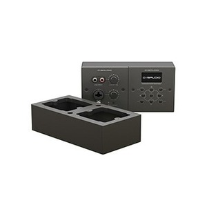 Коробка распределительная CVGaudio WS2-ERC-BL