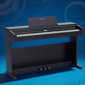 Пианино цифровое Rockdale ETUDE 256 BR