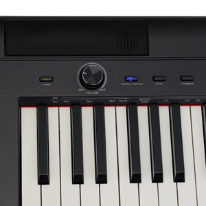 Пианино цифровое Rockdale NOCTURNE S 256 BK