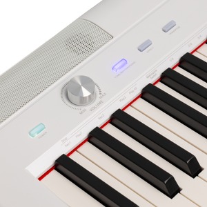 Пианино цифровое Rockdale NOCTURNE S 256 W