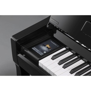 Пианино цифровое Kawai NV6 EP