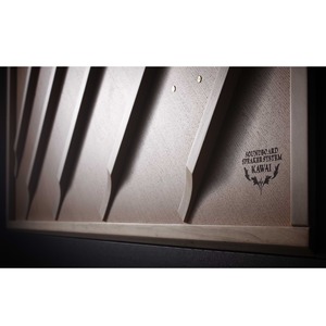 Пианино цифровое Kawai NV6 EP