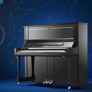 Пианино акустическое Wendl&Lung V133BK