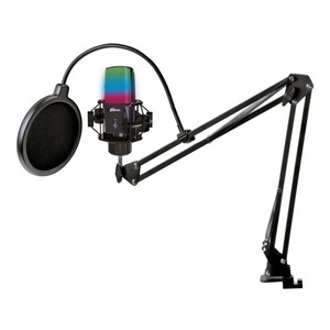 Вокальный микрофон (конденсаторный) Ritmix RDM-270 Black