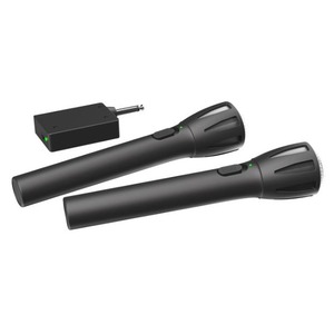 Радиосистема на два микрофона Ritmix RWM-302 black