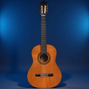 Акустическая гитара 6 струн Bullfighter D-3925 NA