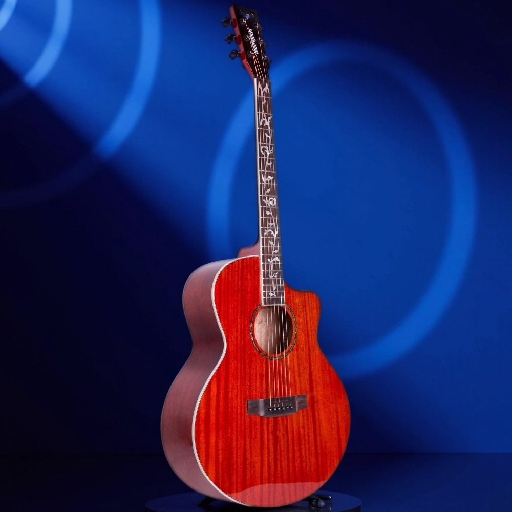 Акустическая гитара 6 струн Bullfighter D-4013NG RD