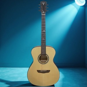 Акустическая гитара 6 струн Bullfighter D-4019 NA