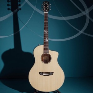 Акустическая гитара 6 струн Bullfighter D5C NA