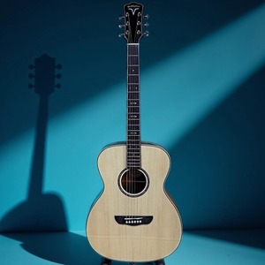 Акустическая гитара 6 струн Bullfighter DSM NA