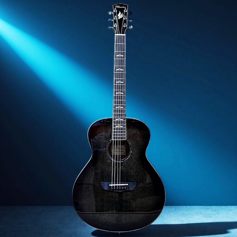Акустическая гитара 6 струн Bullfighter MS-36A BK