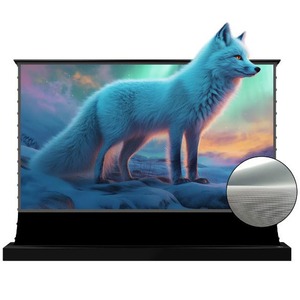 Экран для проектора Vividstorm 120 inch S Lite Hyper Motorized Tension Floor Rising Lenticular ALR Projector Screen