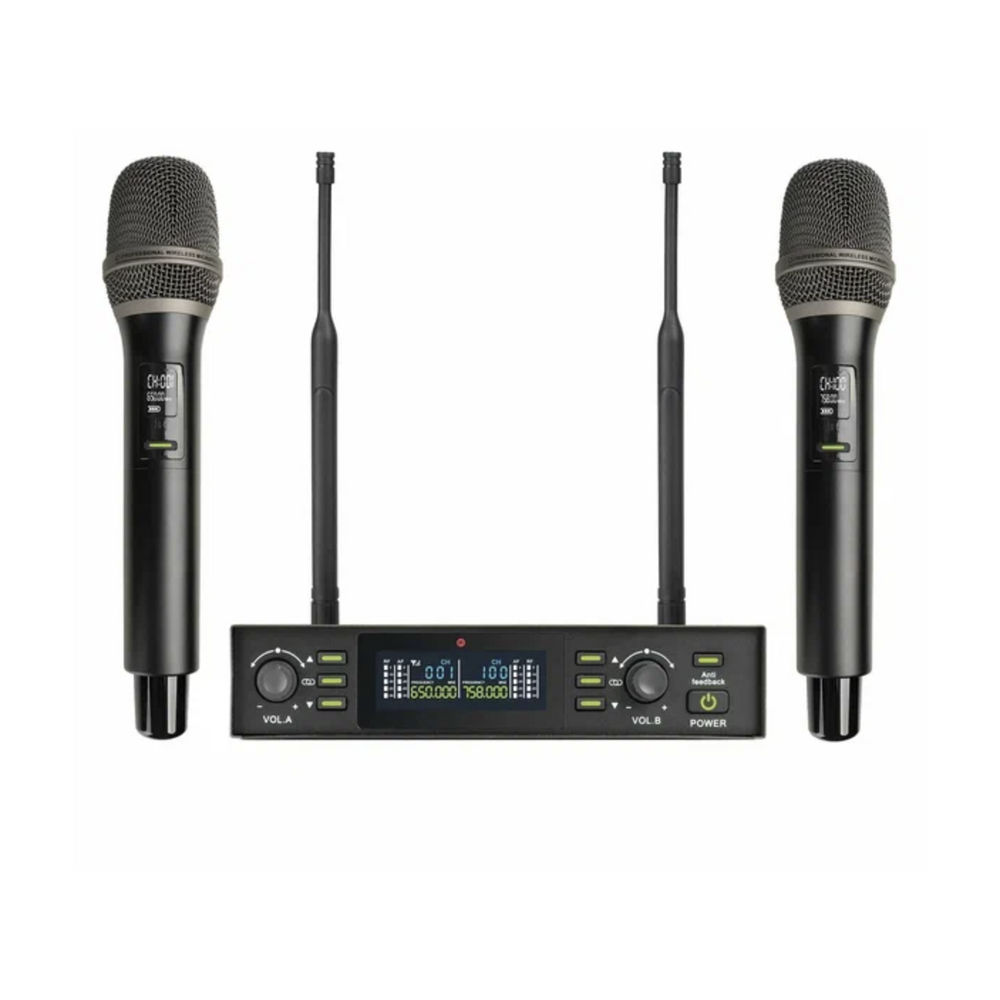 Радиосистема на два микрофона Axelvox DX800FK