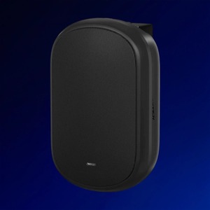 Акустика универсальная трансляционная Tannoy DVS 601