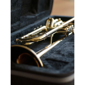 Труба Artist TR-410LA