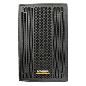 Активная акустическая система Haymer TN12A-DSP