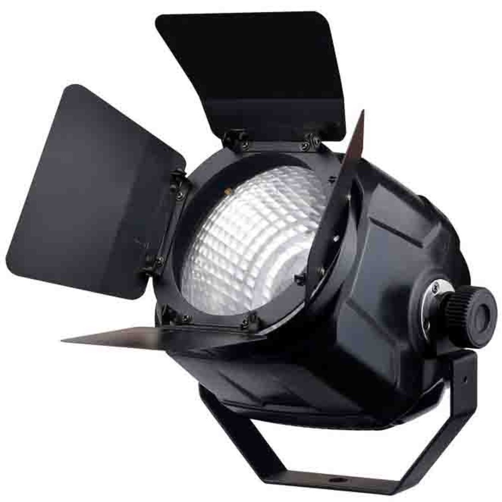 Прожектор PAR LED Exell Lighting EXLPARCOB100