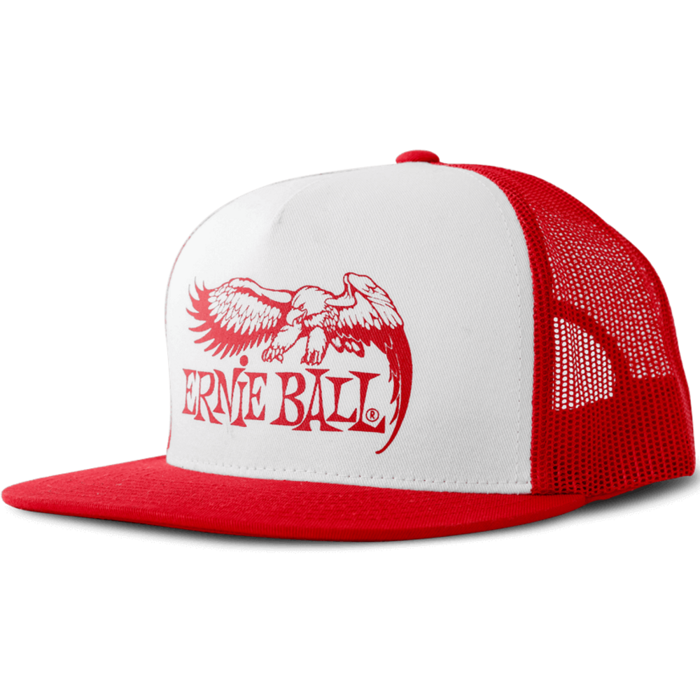 Бейсболка Ernie Ball 4160