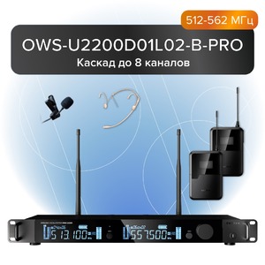 Радиосистема комбинированная Октава OWS-U2200D01L02-B-PRO