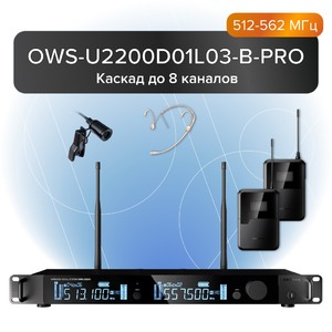 Радиосистема комбинированная Октава OWS-U2200D01L03-B-PRO