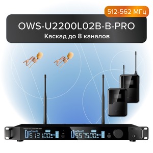 Радиосистема на два микрофона Октава OWS-U2200L02B-B-PRO