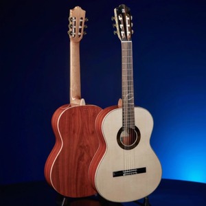 Классическая гитара Alhambra 8.895 Green Sustain Clasical