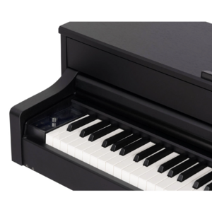 Пианино цифровое Aurora AU120-BK