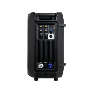 Активная акустическая система Имбирь 310-А