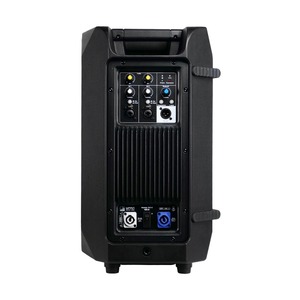 Активная акустическая система Имбирь 312-А