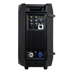 Активная акустическая система Имбирь 315-А