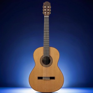 Классическая гитара Altamira N300+ W-CASE