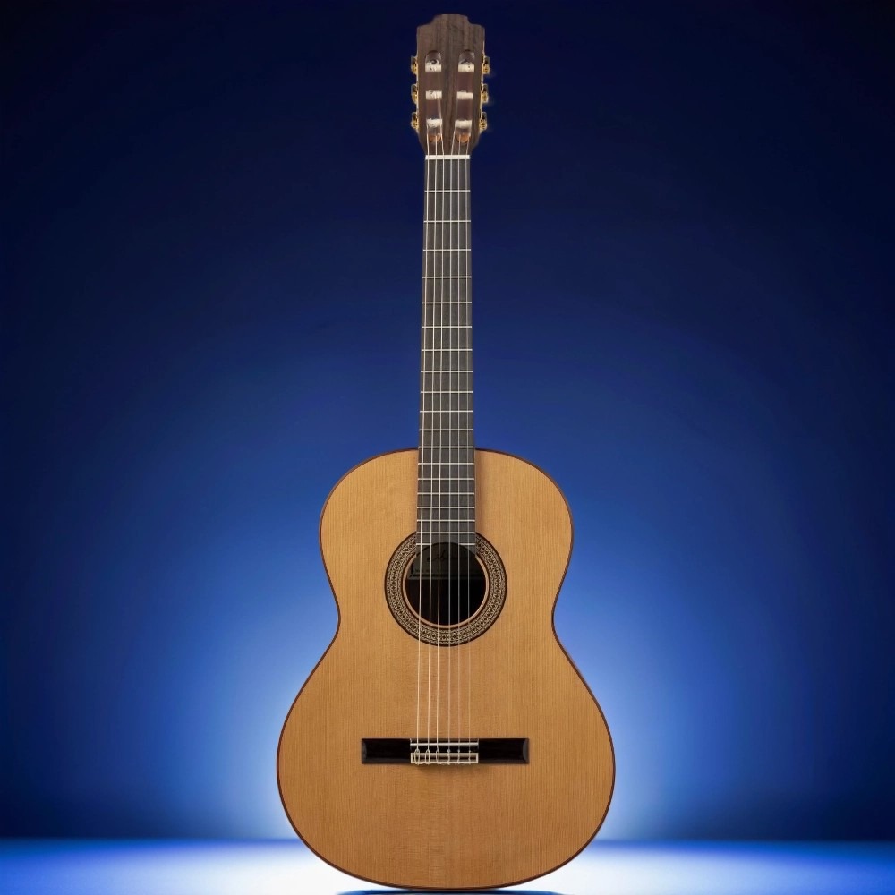 Классическая гитара Altamira N300+ CASE