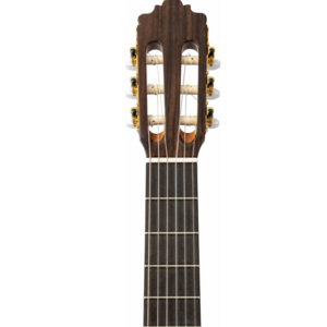 Классическая гитара Altamira N300+ CASE