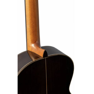 Классическая гитара Altamira N300+ CASE