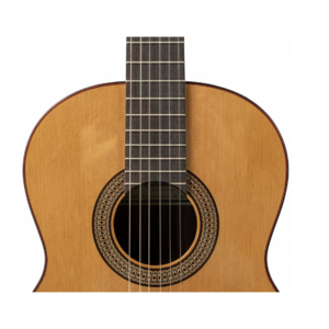 Классическая гитара Altamira N300+ CASE