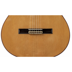 Классическая гитара Altamira N300+ CASE