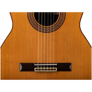 Гитара детская Altamira N300+ 7/8