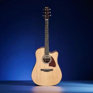 Электроакустическая гитара IBANEZ AAD51CE-NT