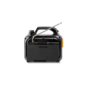 Радиоприемник Ritmix RPR-550