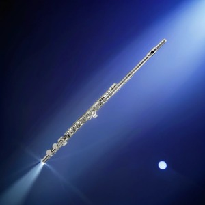 Флейта BRAHNER F-105S