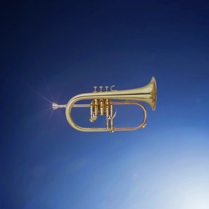 Флюгельгорн BRAHNER FLH-345L