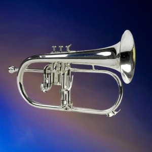 Флюгельгорн BRAHNER FLH-455S