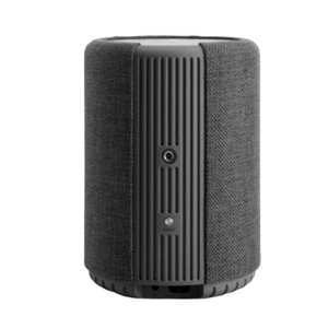 Активная акустика Audio Pro A10 MkII W Dark Grey