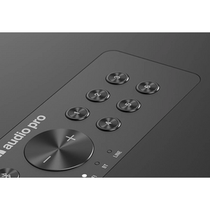 Активная акустика Audio Pro C5 MkII W Black