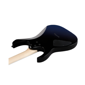 Электрогитара IBANEZ RG421DX-TWS