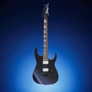 Электрогитара IBANEZ RG421DX-TWS