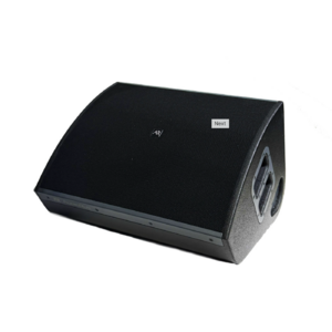 Монитор сценический пассивный AUDIORUS 15MCX