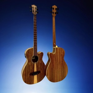 Бас-гитара Sevillia TK-BASS