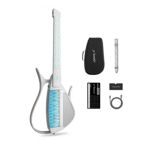 Электрогитара Parkwood S22M-NS-W/B